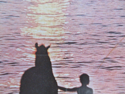 THE BLACK STALLION SPANISH (38.5"X 27") ROLLED POSTER KELLY RENO MICKEY ROONEY Movie posters