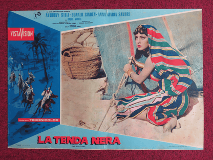 THE BLACK TENT ITALIAN FOTOBUSTA POSTER ANTHONY STEEL DONALD SINDEN 1956 Rendezvous Cinema Movie posters