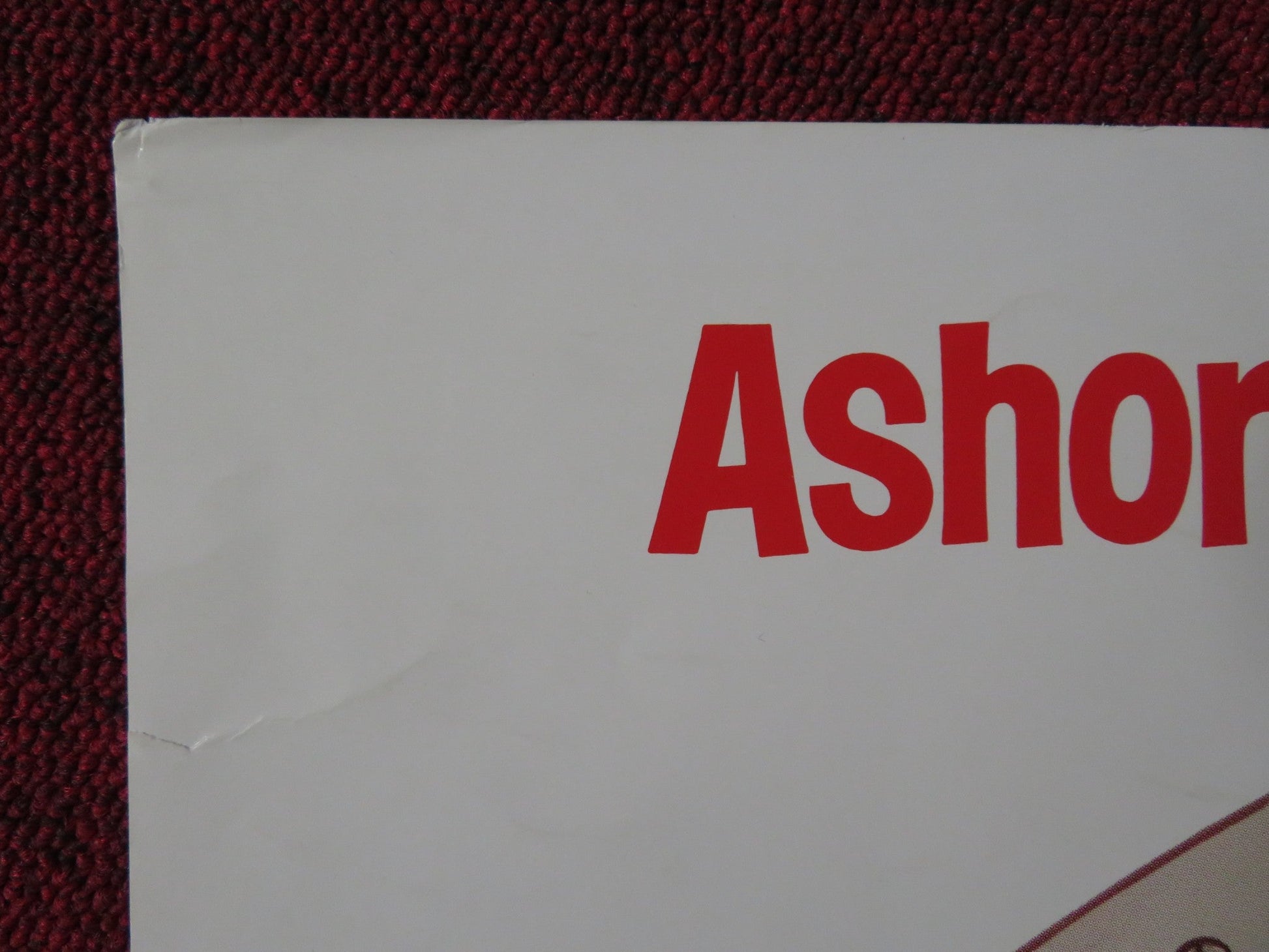 THE BOATNIKS US HALF SHEET (22"x 28") POSTER DISNEY MORSE STEPHANIE POWERS 1977 Rendezvous Cinema Movie posters