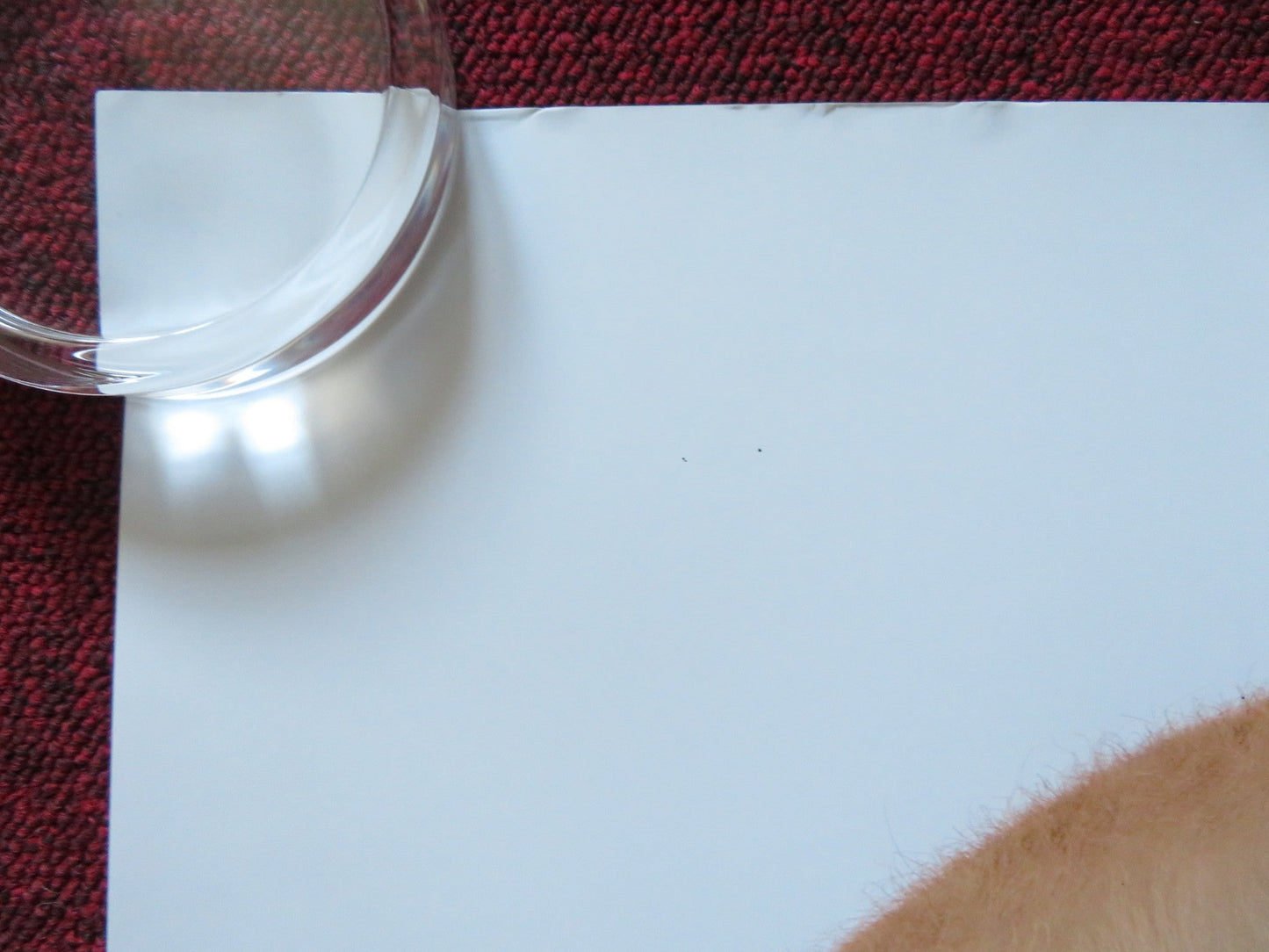 THE BOSS BABY UK QUAD (30"x 40") ROLLED POSTER ALEC BALDWIN STEVE BUSCEMI 2017 Rendezvous Cinema Movie posters