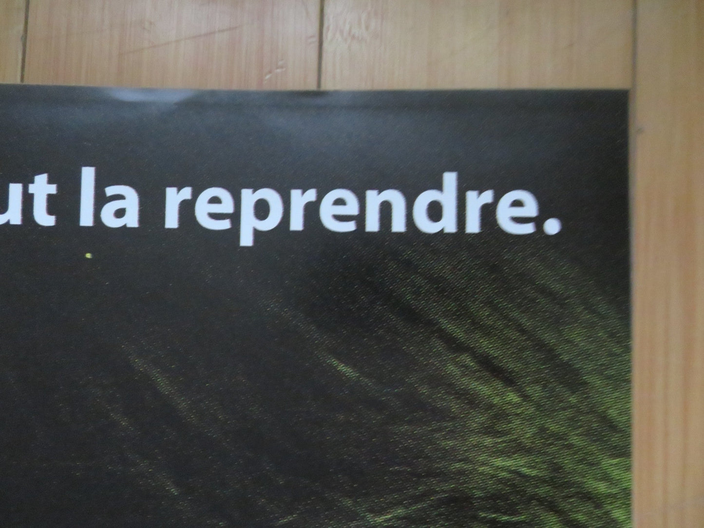 THE BOURNE SUPREMACY FRENCH DOOR PANEL POSTER MATT DAMON FRANKA POTENTE 2004 Rendezvous Cinema Movie posters