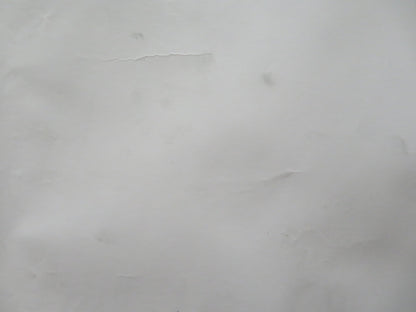 THE BOURNE ULTIMATUM UK QUAD ROLLED POSTER MATT DAMON JULIA STILES 2007 Rendezvous Cinema Movie posters