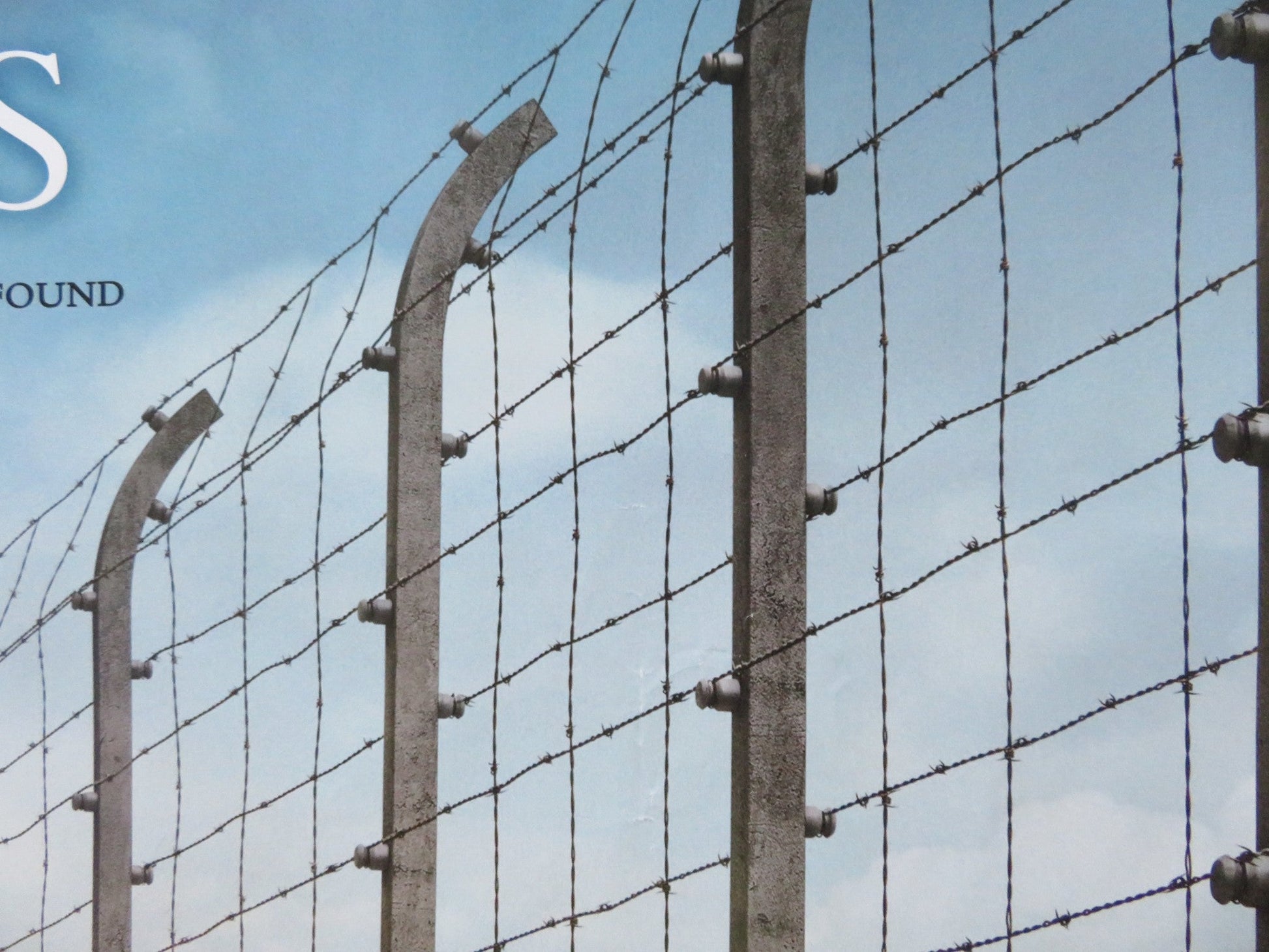 THE BOY IN THE STRIPED PYJAMAS UK QUAD (30"x 40") ROLLED POSTER 2008 Rendezvous Cinema Movie posters