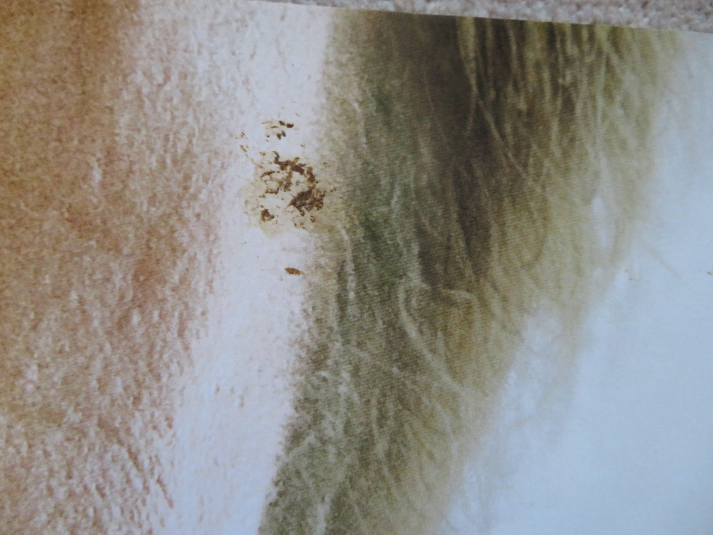 THE BOYS ARE BACK UK QUAD (30"x 40") ROLLED POSTER CLIVE OWEN EMMA BOOTH 2009 Rendezvous Cinema Movie posters