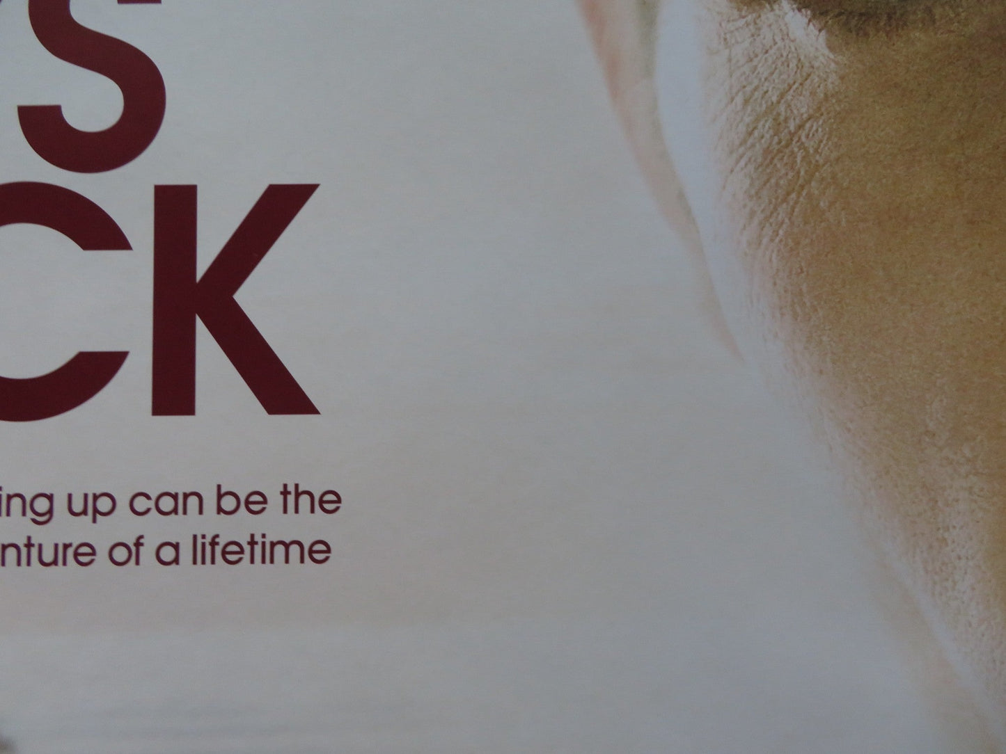 THE BOYS ARE BACK UK QUAD (30"x 40") ROLLED POSTER CLIVE OWEN EMMA BOOTH 2009 Rendezvous Cinema Movie posters