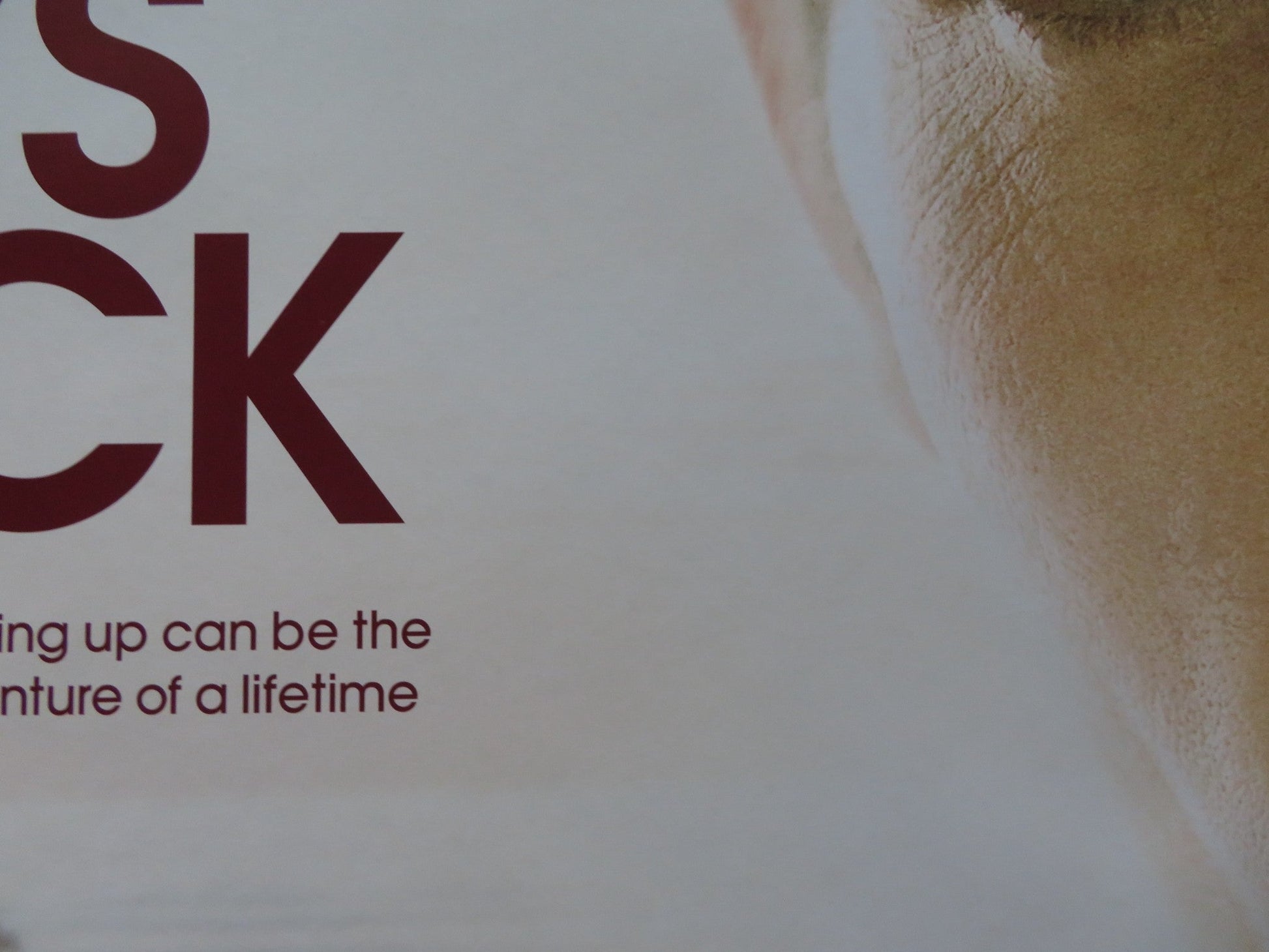 THE BOYS ARE BACK UK QUAD (30"x 40") ROLLED POSTER CLIVE OWEN EMMA BOOTH 2009 Rendezvous Cinema Movie posters