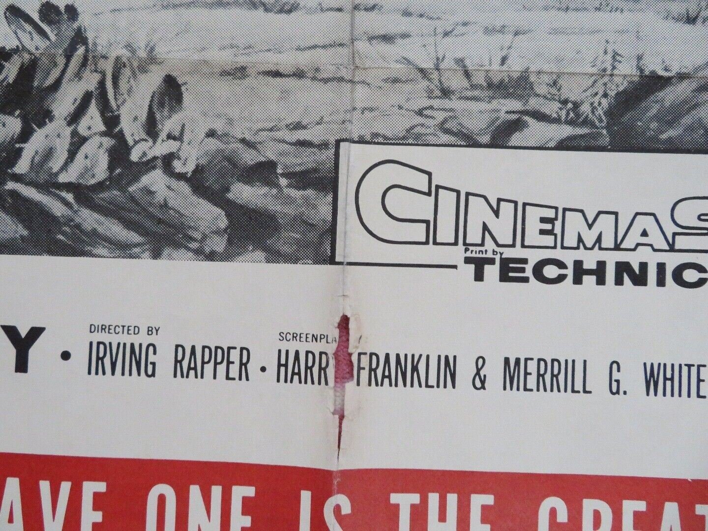 THE BRAVE ONE US ONE SHEET POSTER MICHAEL RAY 1956 R61/102 - Rendezvous Cinema