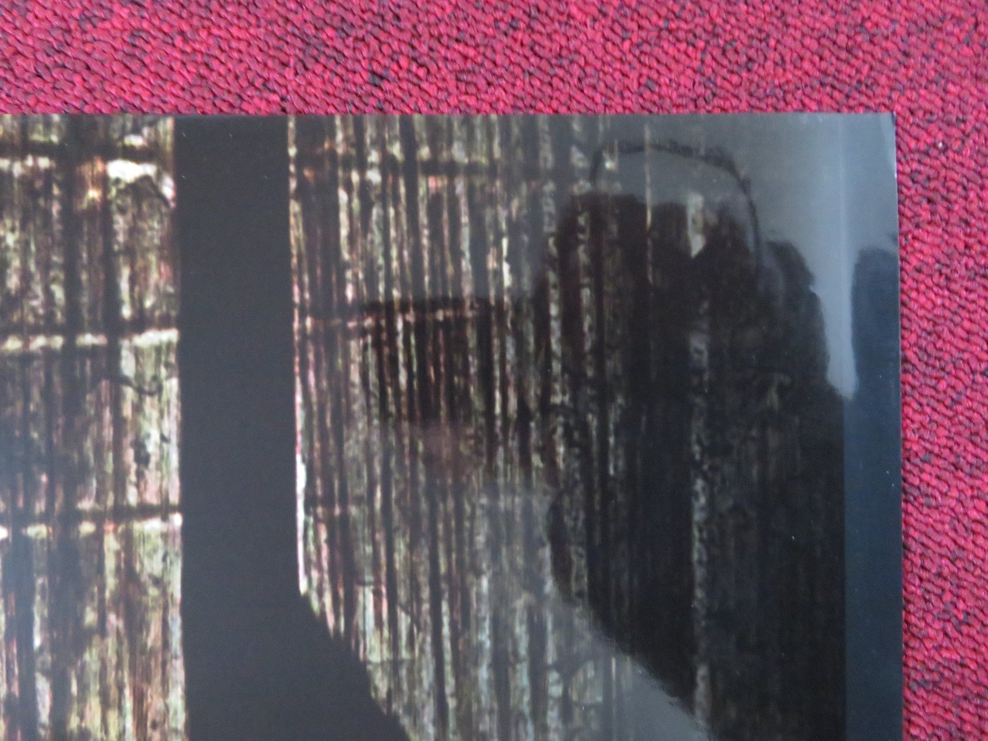 THE BREED ITALIAN FOGLIO POSTER WES CRAVEN MICHELLE RODRIGUEZ 2005 Rendezvous Cinema Movie posters