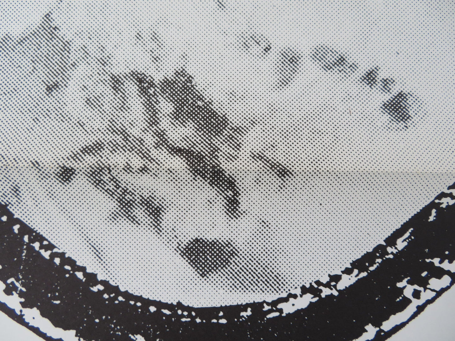 THE BRIDE US TRI FOLDED ONE SHEET ROLLED POSTER ROBIN STRASSER JOHN BEAL 1973 Rendezvous Cinema Movie posters