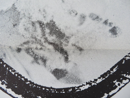 THE BRIDE US TRI FOLDED ONE SHEET ROLLED POSTER ROBIN STRASSER JOHN BEAL 1973 Rendezvous Cinema Movie posters