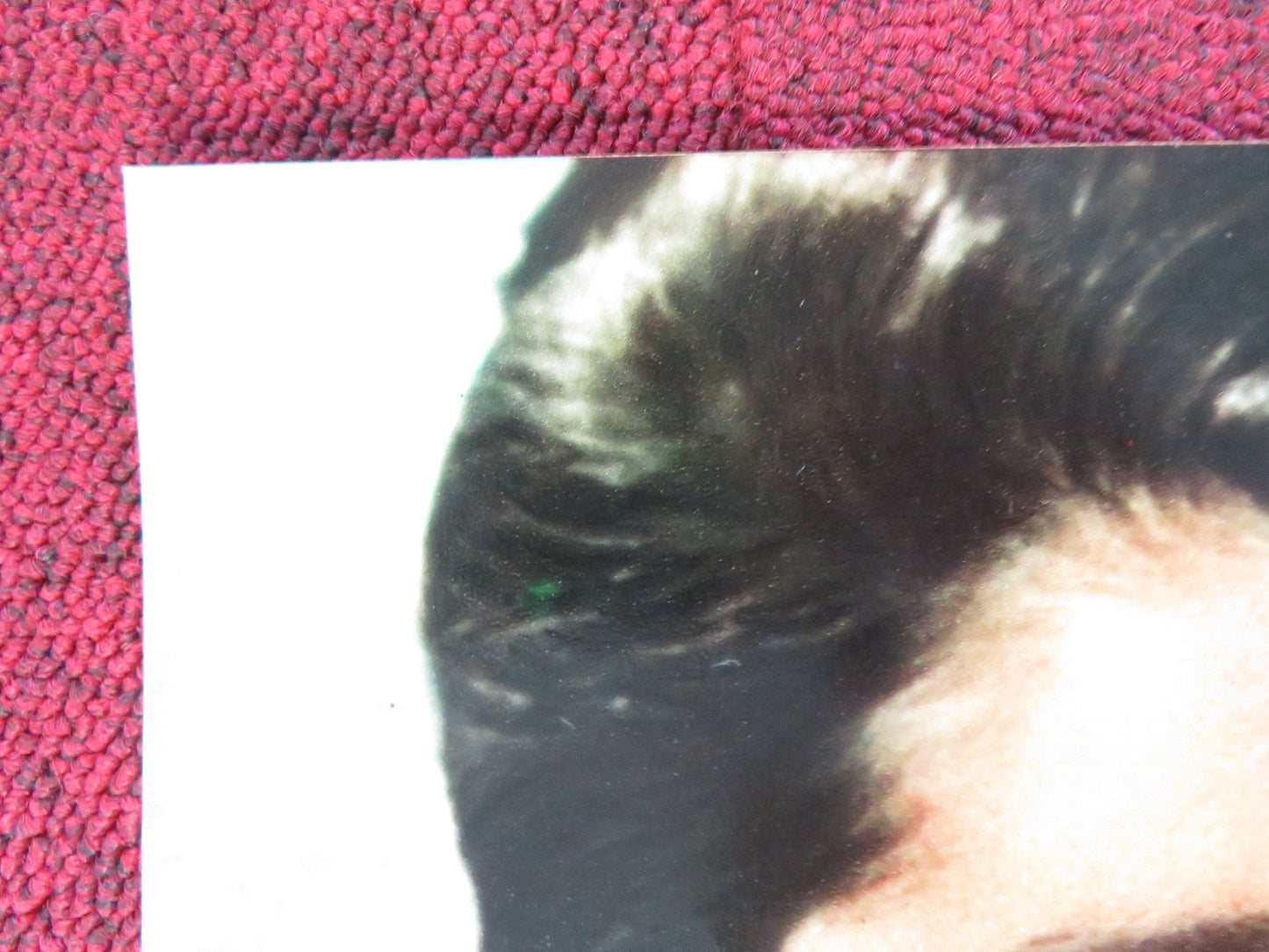 THE BROTHERHOOD - B ITALIAN FOTOBUSTA POSTER KIRK DOUGLAS ALEX CORD 1968 Rendezvous Cinema Movie posters