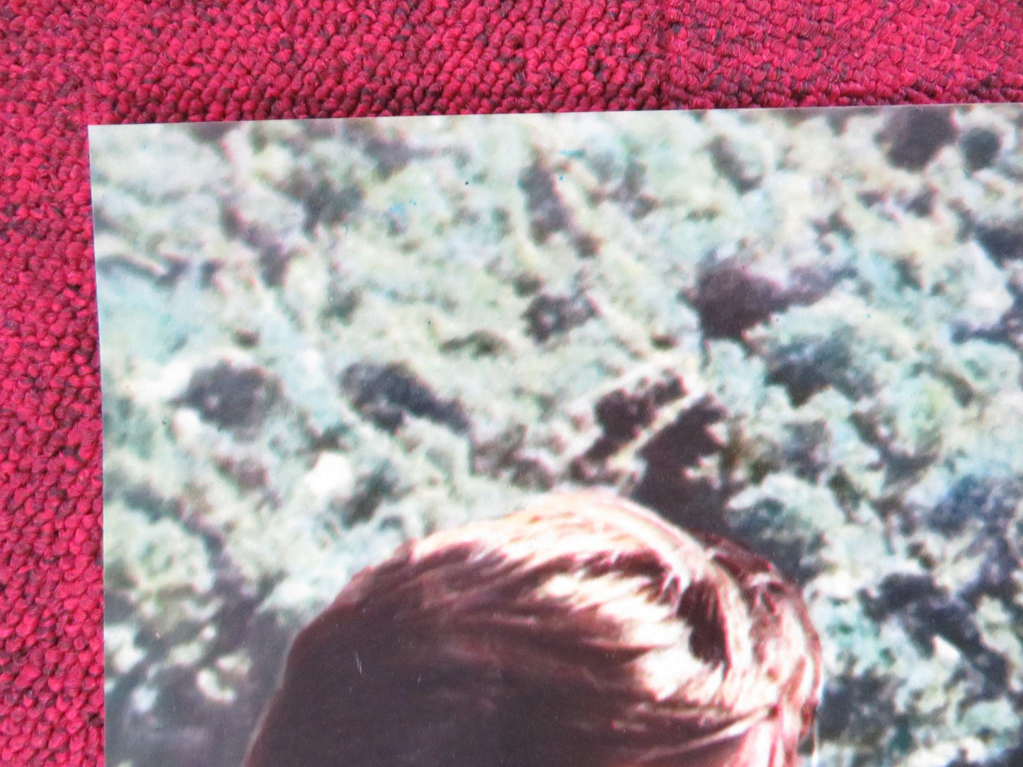 THE BROTHERHOOD - C ITALIAN FOTOBUSTA POSTER KIRK DOUGLAS ALEX CORD 1968 Rendezvous Cinema Movie posters