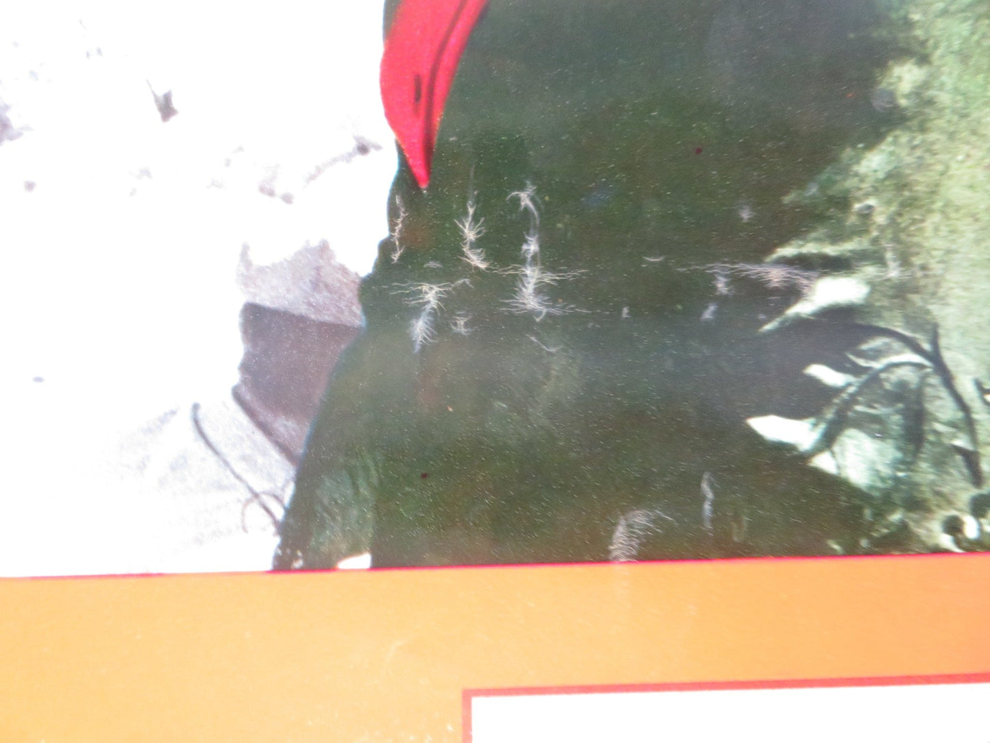 THE BROTHERHOOD - C ITALIAN FOTOBUSTA POSTER KIRK DOUGLAS ALEX CORD 1968 Rendezvous Cinema Movie posters