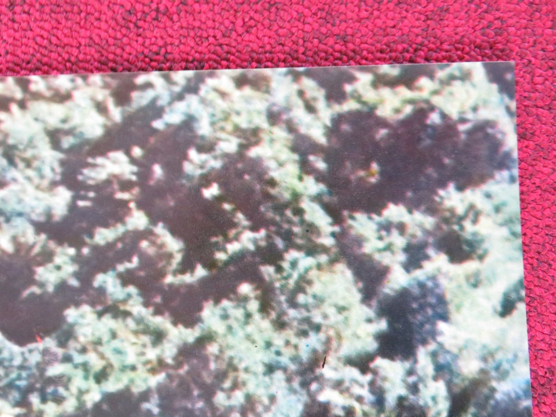 THE BROTHERHOOD - C ITALIAN FOTOBUSTA POSTER KIRK DOUGLAS ALEX CORD 1968 Rendezvous Cinema Movie posters