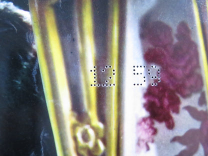 THE BROTHERHOOD - F ITALIAN FOTOBUSTA POSTER KIRK DOUGLAS ALEX CORD 1968 Rendezvous Cinema Movie posters