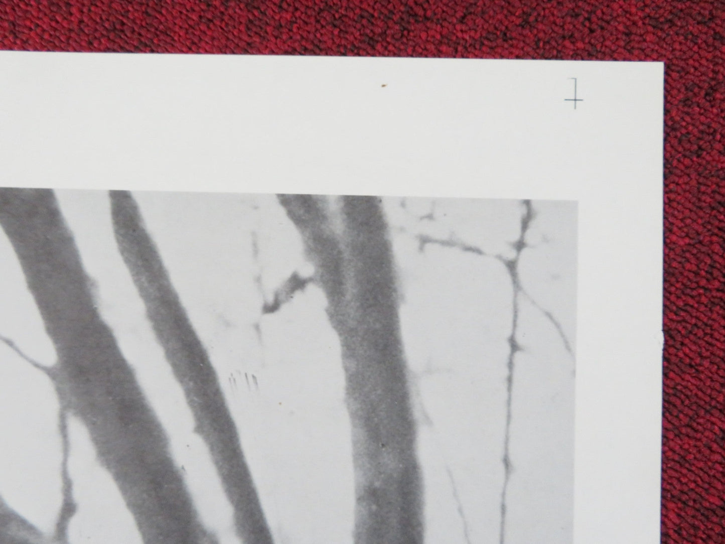 THE BROTHERHOOD FOLDED US ONE SHEET POSTER ALEX CORD IRENE PAPAS 1668 Rendezvous Cinema Movie posters