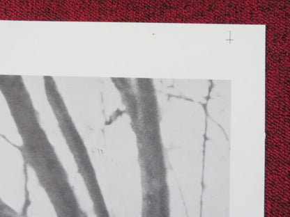 THE BROTHERHOOD FOLDED US ONE SHEET POSTER ALEX CORD IRENE PAPAS 1668 Rendezvous Cinema Movie posters