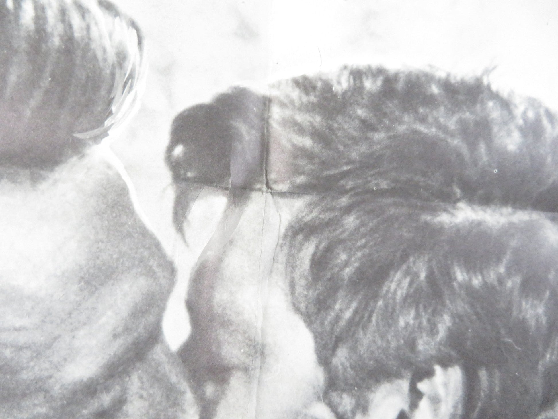 THE BROTHERHOOD FOLDED US ONE SHEET POSTER ALEX CORD IRENE PAPAS 1668 Rendezvous Cinema Movie posters