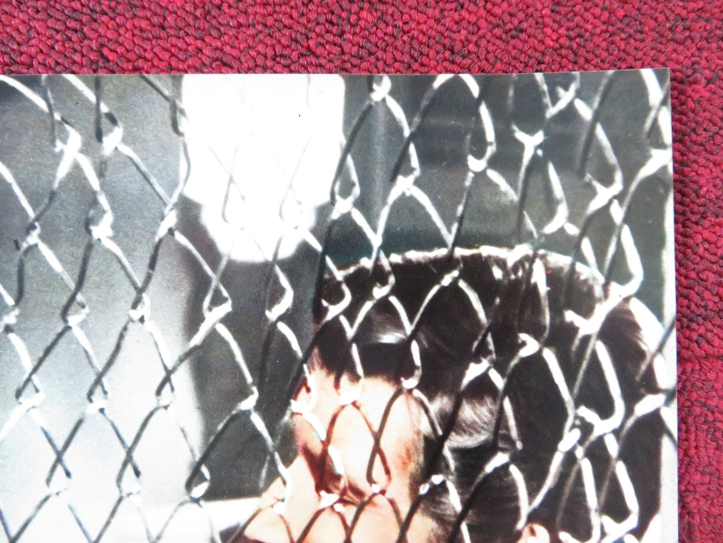 THE BROTHERHOOD - J ITALIAN FOTOBUSTA POSTER KIRK DOUGLAS ALEX CORD 1968 Rendezvous Cinema Movie posters