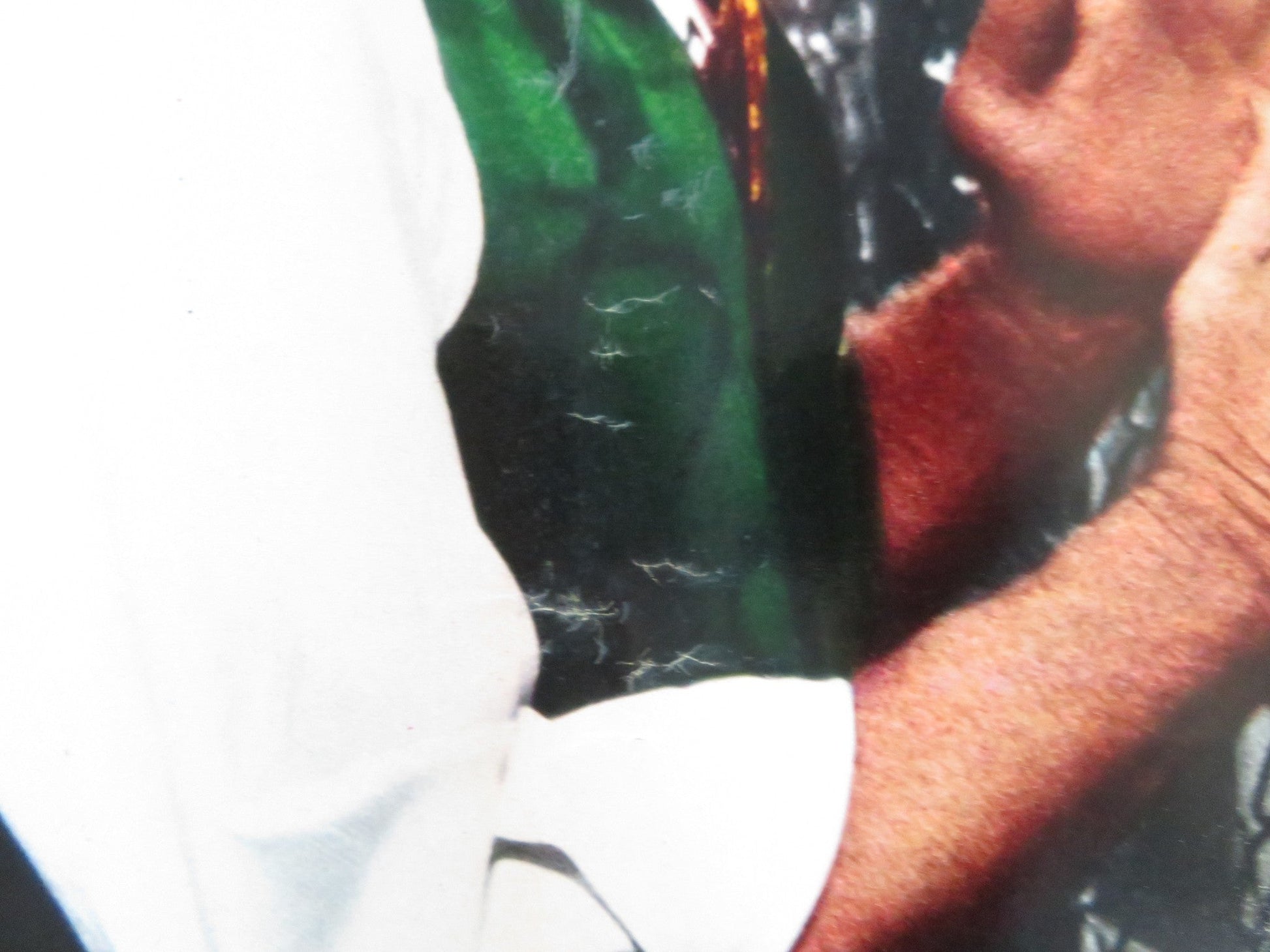 THE BROTHERHOOD - J ITALIAN FOTOBUSTA POSTER KIRK DOUGLAS ALEX CORD 1968 Rendezvous Cinema Movie posters