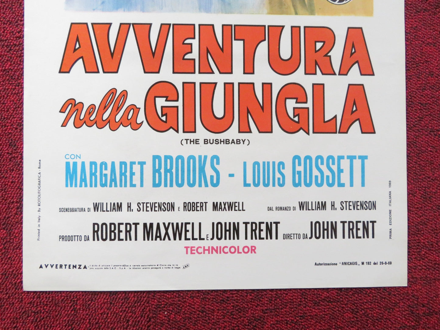 THE BUSHBABY ITALIAN LOCANDINA POSTER MARGARET BROOKS LOUIS GOSSETT 1969 Rendezvous Cinema Movie posters