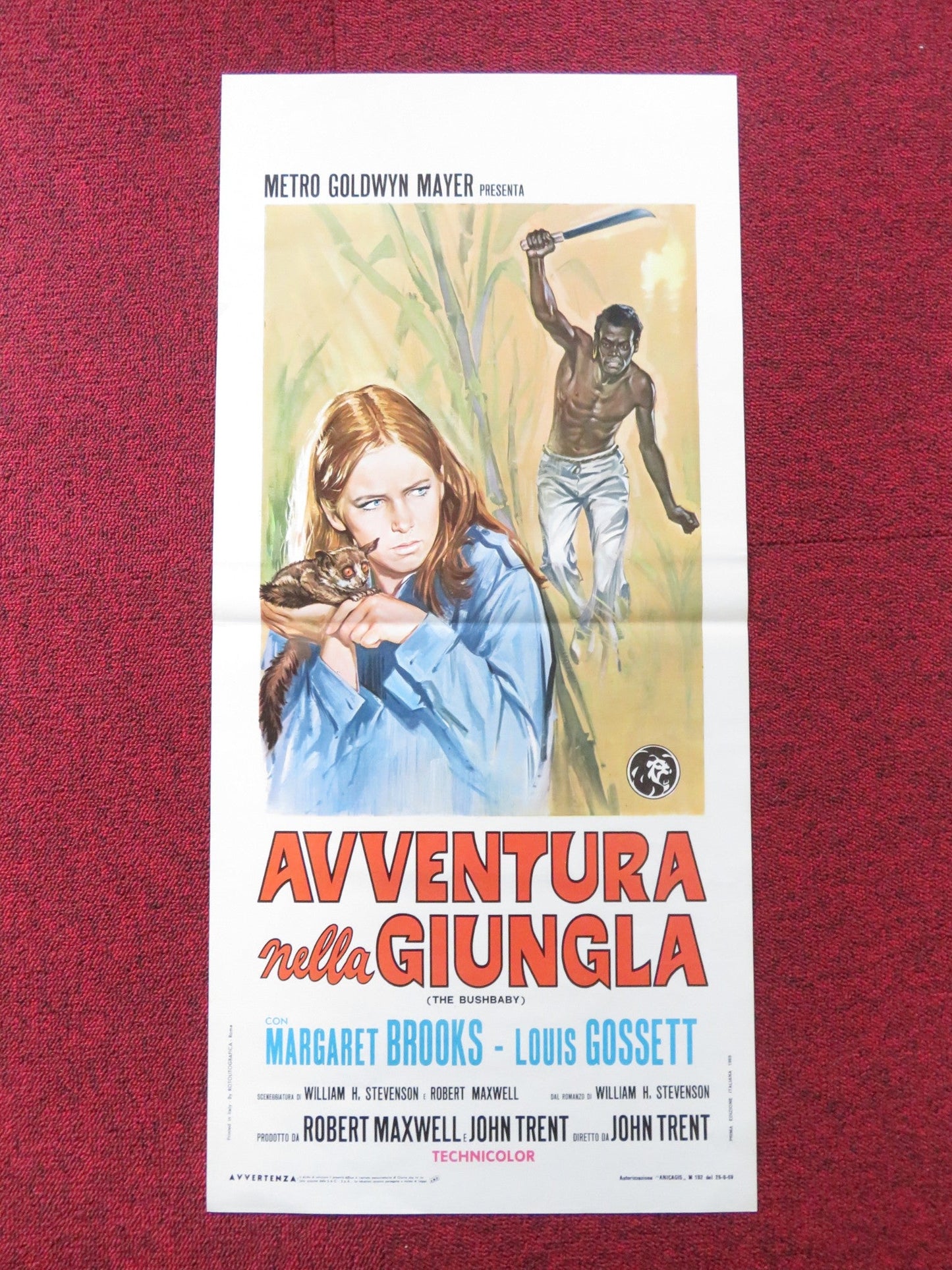 THE BUSHBABY ITALIAN LOCANDINA POSTER MARGARET BROOKS LOUIS GOSSETT 1969 Rendezvous Cinema Movie posters