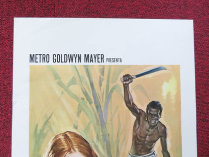 THE BUSHBABY ITALIAN LOCANDINA POSTER MARGARET BROOKS LOUIS GOSSETT 1969 Rendezvous Cinema Movie posters