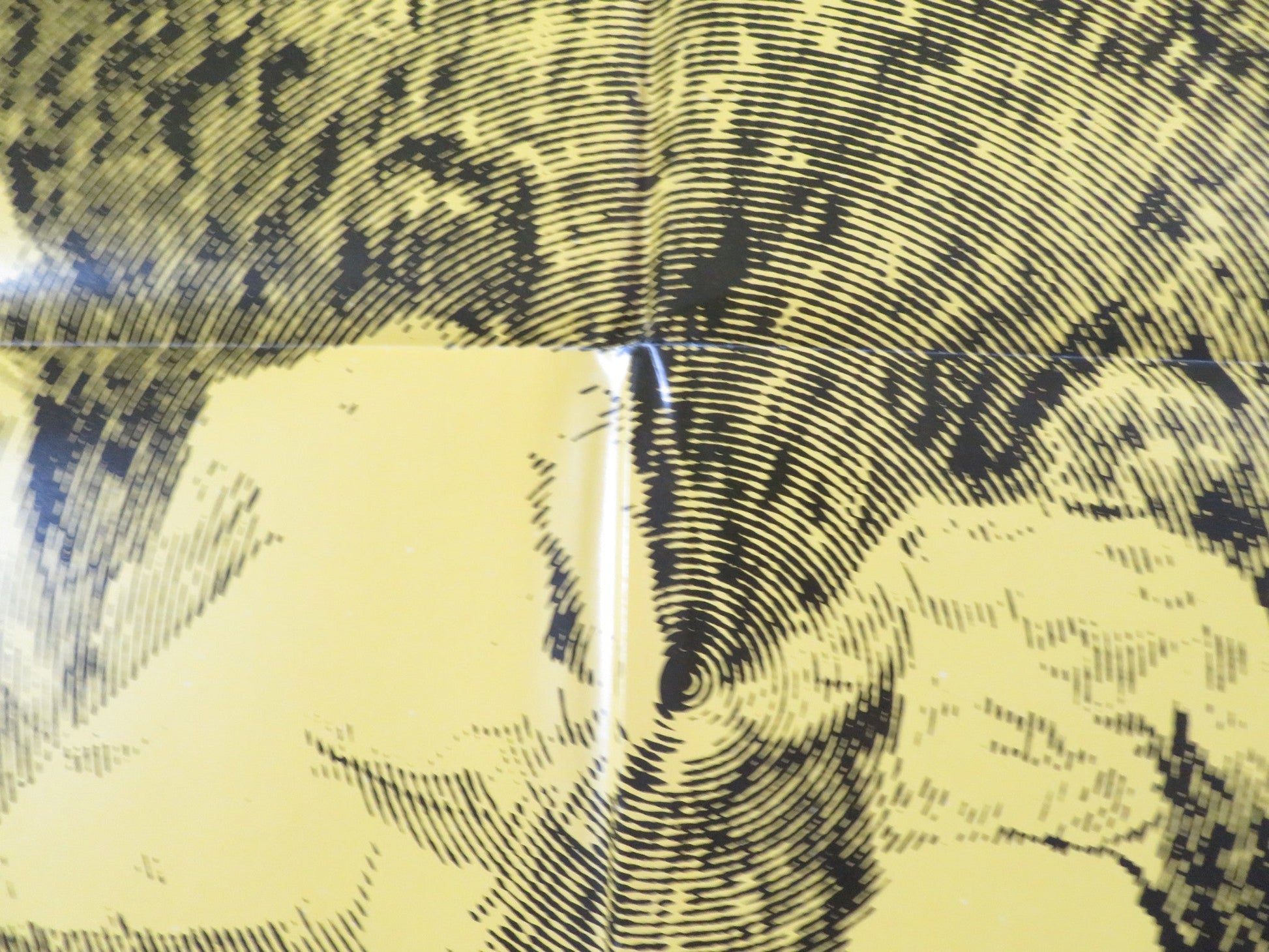 THE BUTTERCUP CHAIN FOLDED US ONE SHEET POSTER HYWEL BENNETT JANE ASHER 1970 Rendezvous Cinema Movie posters