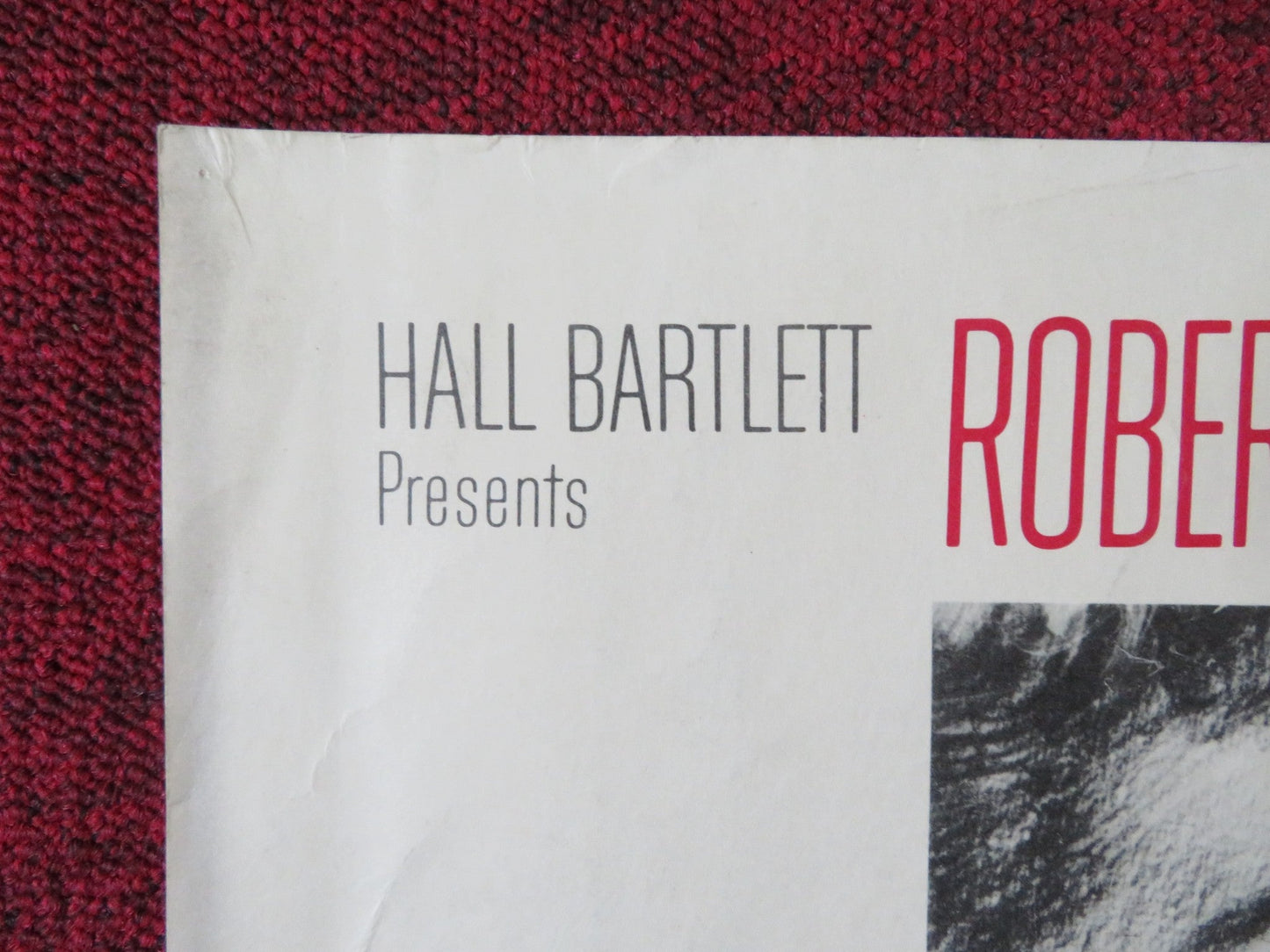 THE CARETAKERS HALF SHEET (22"x 28") POSTER ROBERT STACK POLLY BERGEN 1963 Rendezvous Cinema Movie posters