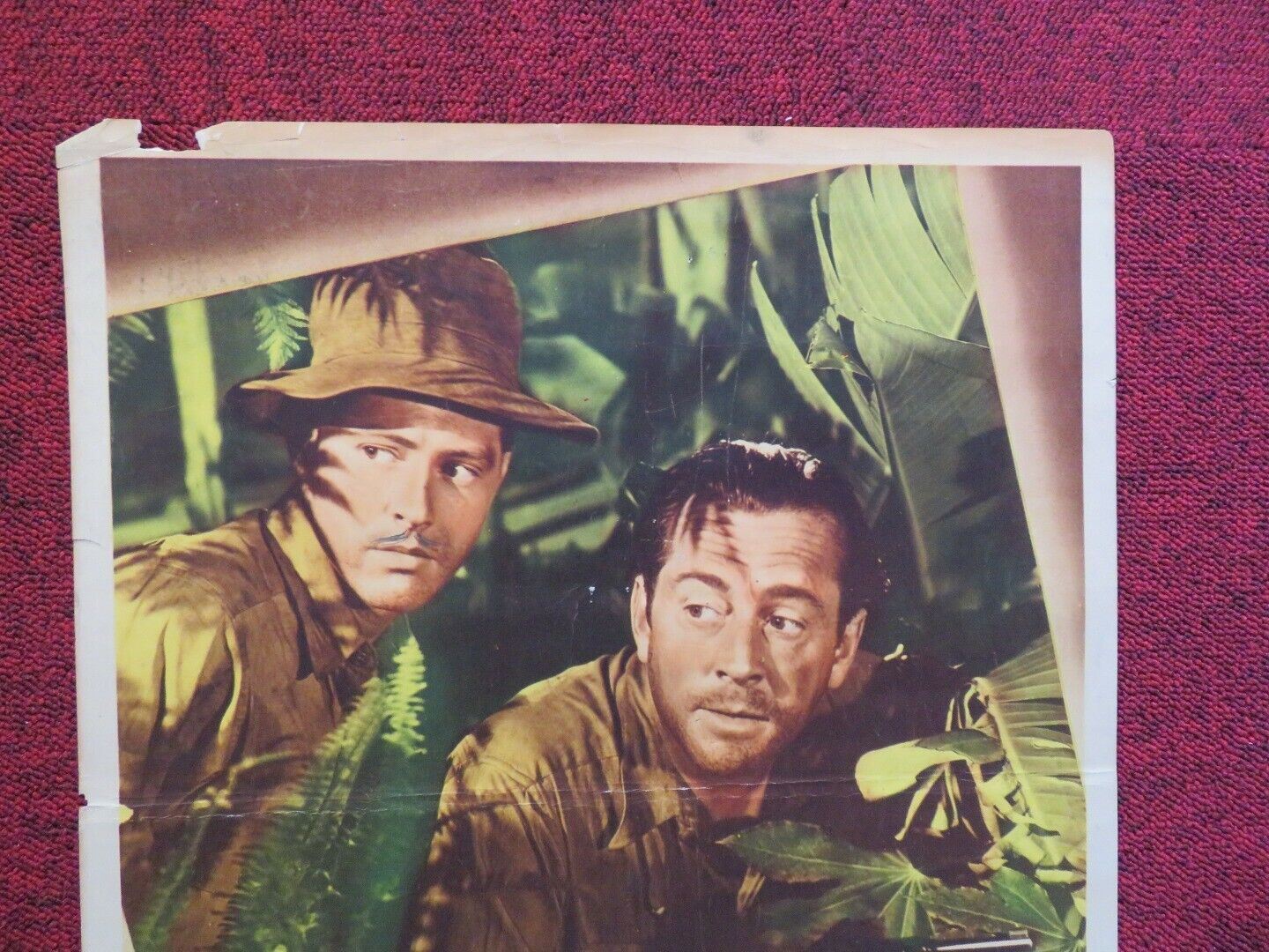 THE CARIBBEAN MYSTERY US INSERT (14"x 36") POSTER JAMES DUNN SHEILA RYAN 1945 Movie posters
