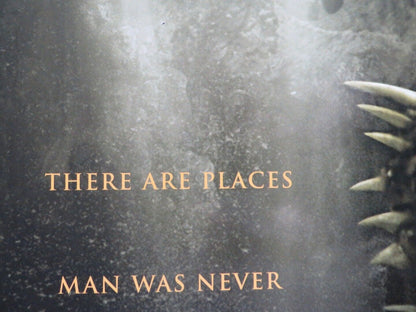 THE CAVE DVD US ONE SHEET POSTER ROLLED COLE HAUSER EDDIE CIBRIAN 2005 Movie posters