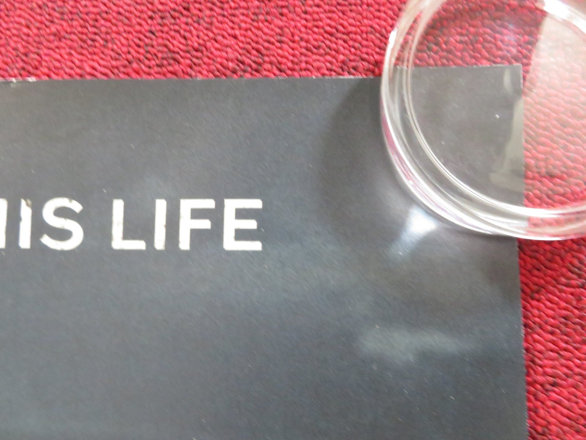 THE CHAMPION OF AUSCHWITZ UK QUAD (30"x 40") ROLLED POSTER PIOTR GLOWACKI 2020 Rendezvous Cinema Movie posters