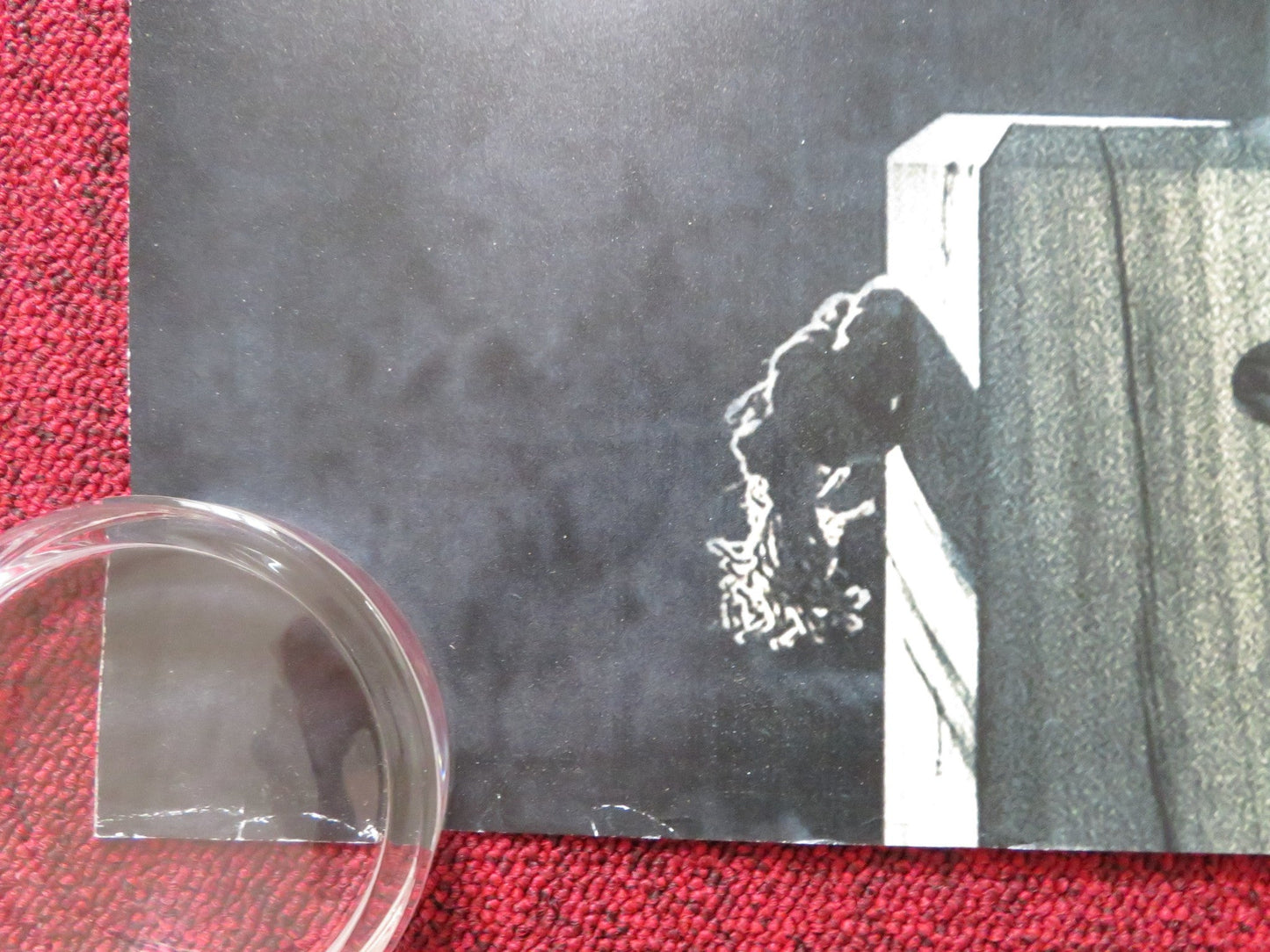 THE CHAMPION OF AUSCHWITZ UK QUAD (30"x 40") ROLLED POSTER PIOTR GLOWACKI 2020 Rendezvous Cinema Movie posters