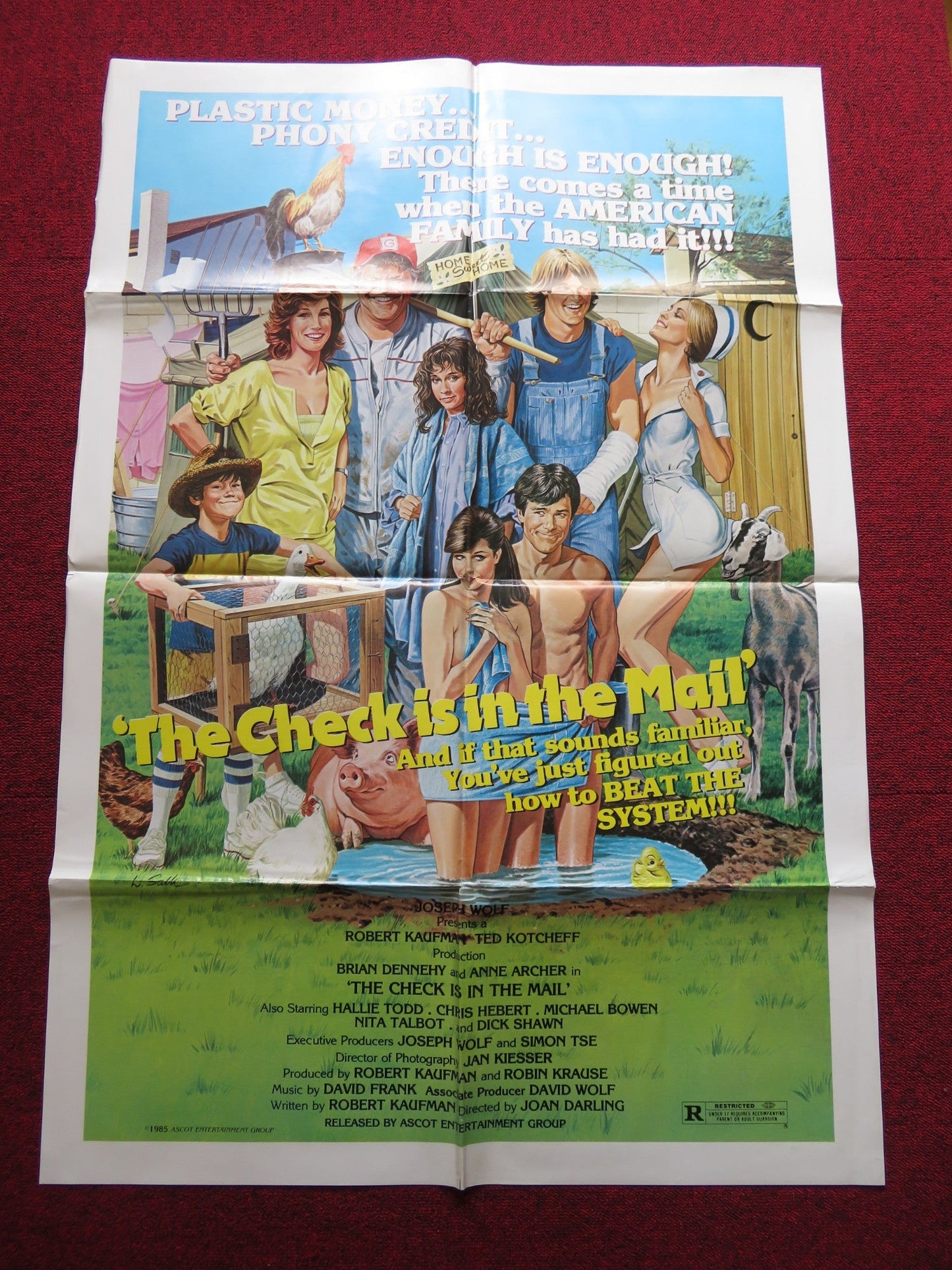 THE CHECK IS IN THE MAIL FOLDED US ONE SHEET POSTER BRIAN DENNEHY A. ARCHER 1985 Rendezvous Cinema Movie posters