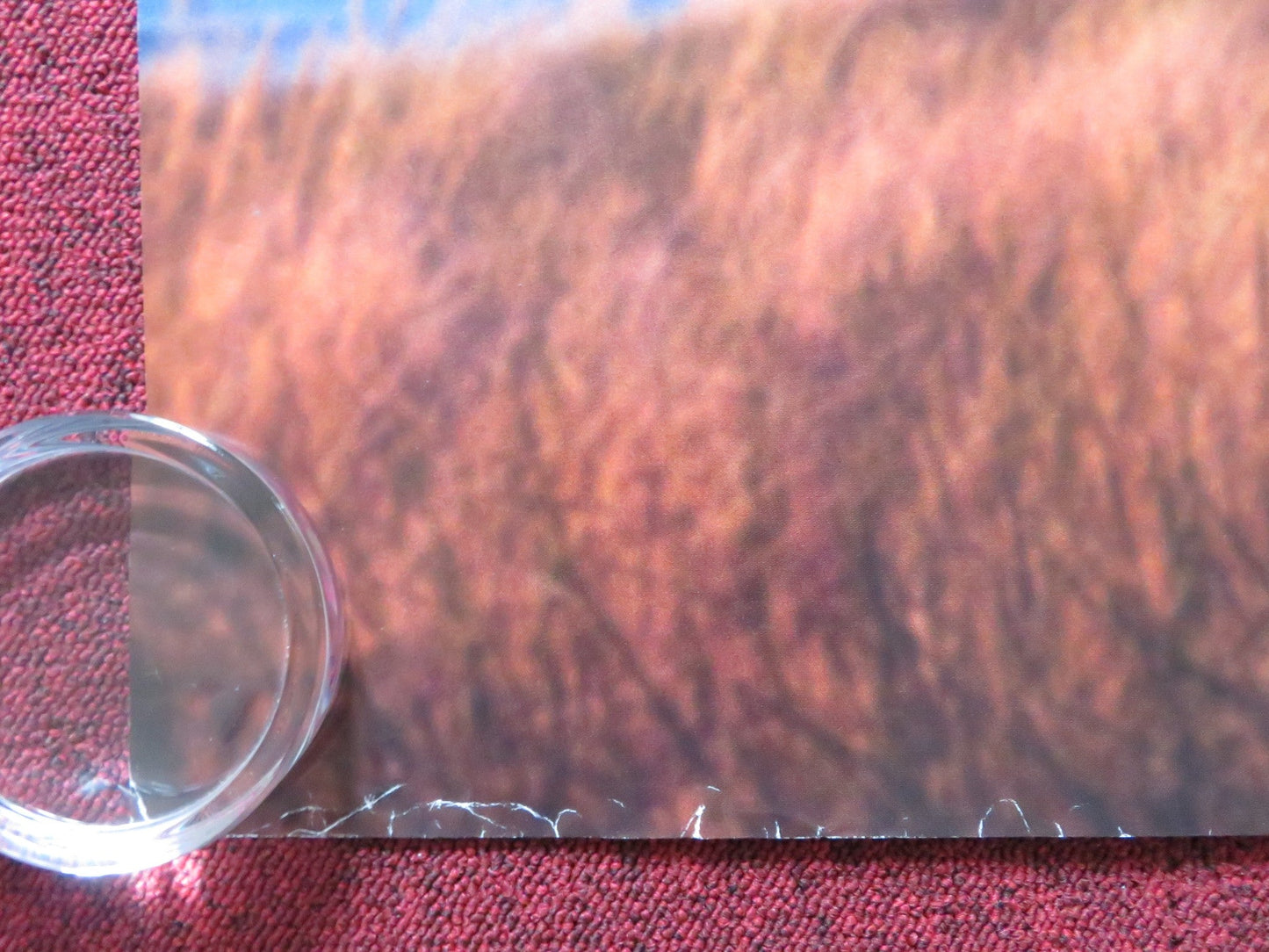 THE CHOICE UK QUAD (30"x 40") ROLLED POSTER BENJAMIN WALKER TERESA PALMER 2016 Rendezvous Cinema Movie posters