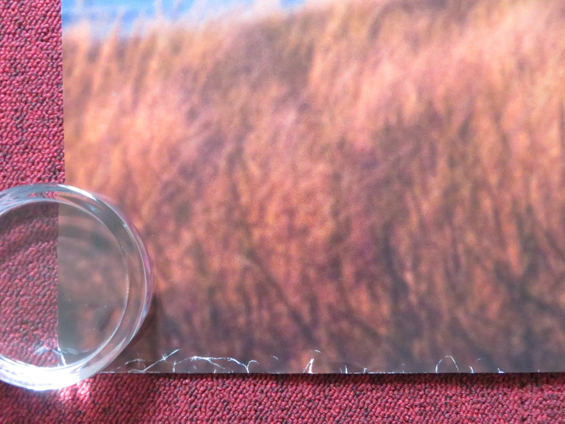 THE CHOICE UK QUAD (30"x 40") ROLLED POSTER BENJAMIN WALKER TERESA PALMER 2016 Rendezvous Cinema Movie posters