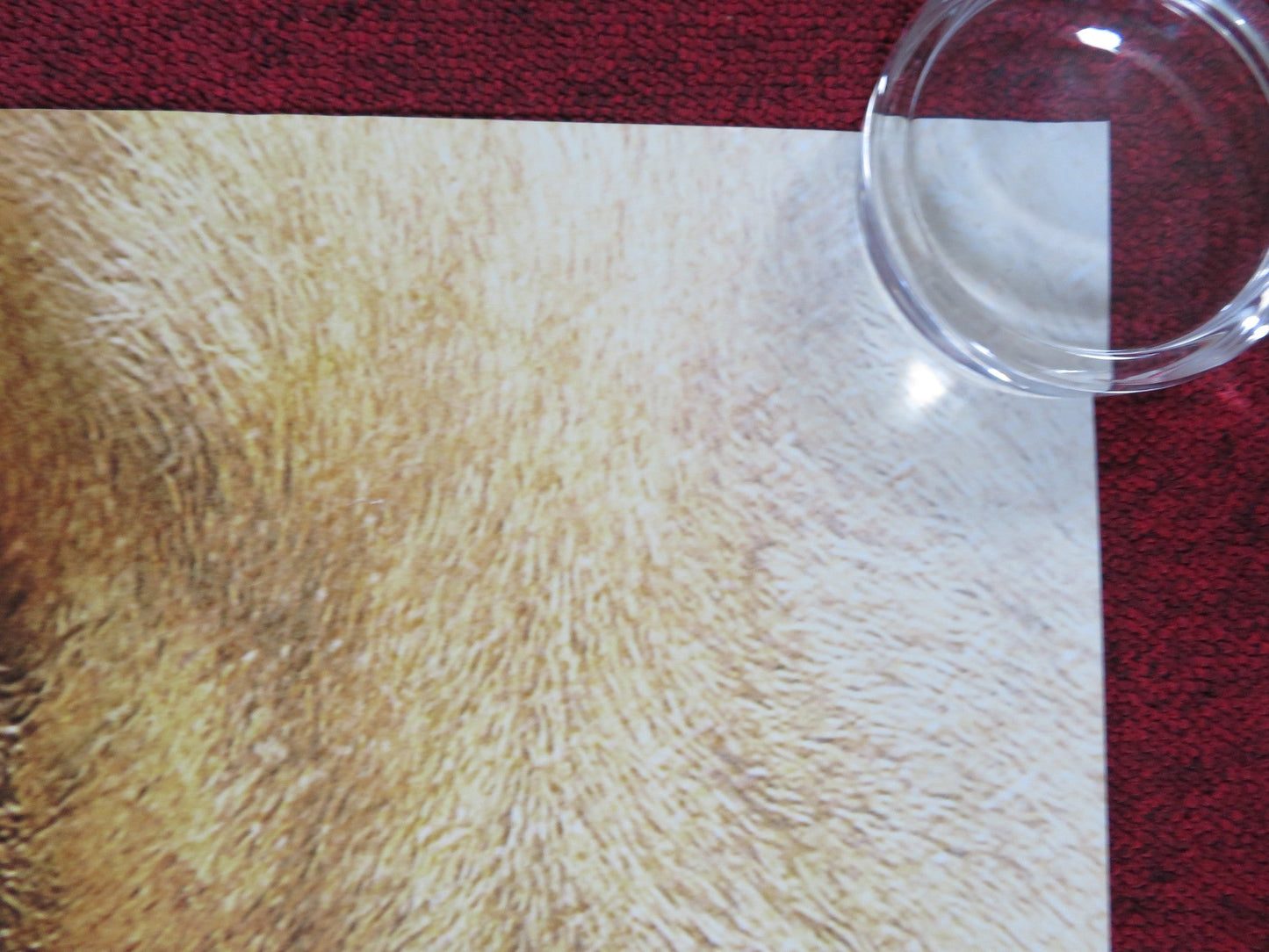 THE CHRONICLES OF NARNIA: THE VOYAGE OF THE DAWN TREADER UK QUAD ROLLED POSTER Rendezvous Cinema Movie posters