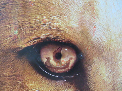 THE CHRONICLES OF NARNIA: THE VOYAGE OF THE DAWN TREADER US (13.5"x 20") POSTER Movie posters