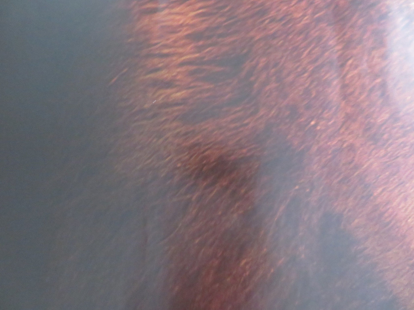 THE CHRONICLES OF NARNIA: THE VOYAGE OF.. UK QUAD (30"x 40") ROLLED POSTER 2010 Rendezvous Cinema Movie posters