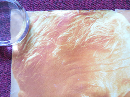 THE CIDER HOUSE RULES UK QUAD (30"x 40") ROLLED POSTER TOBEY MAGUIRE 1999 Rendezvous Cinema Movie posters