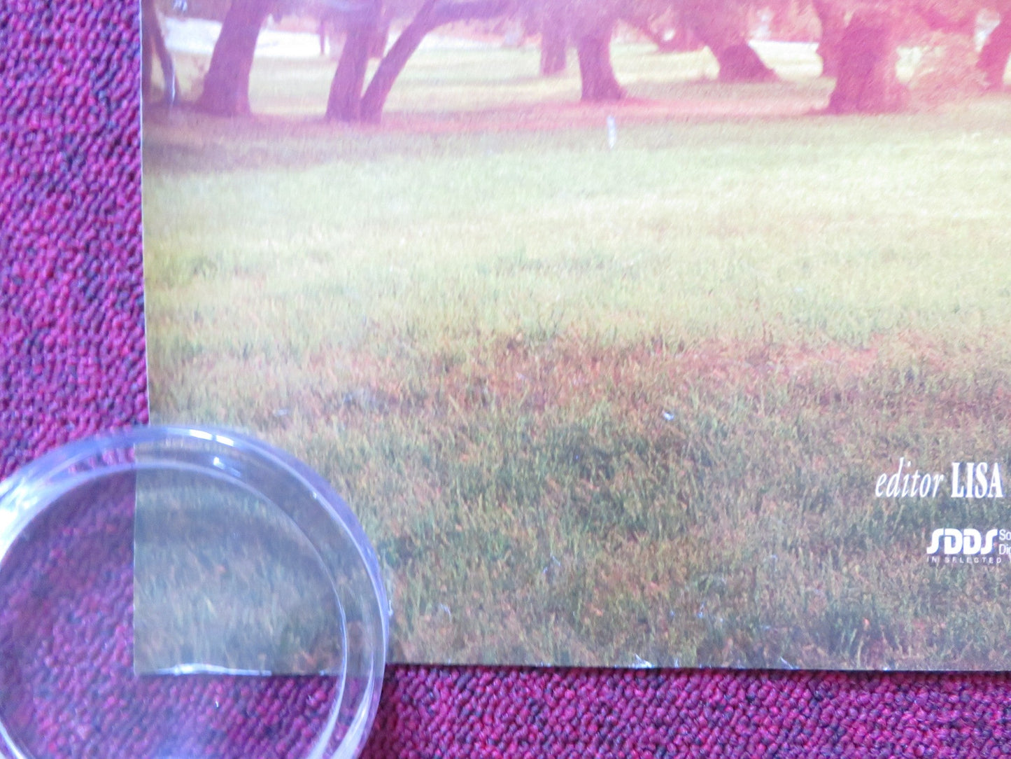 THE CIDER HOUSE RULES UK QUAD (30"x 40") ROLLED POSTER TOBEY MAGUIRE 1999 Rendezvous Cinema Movie posters