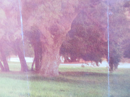 THE CIDER HOUSE RULES UK QUAD (30"x 40") ROLLED POSTER TOBEY MAGUIRE 1999 Rendezvous Cinema Movie posters