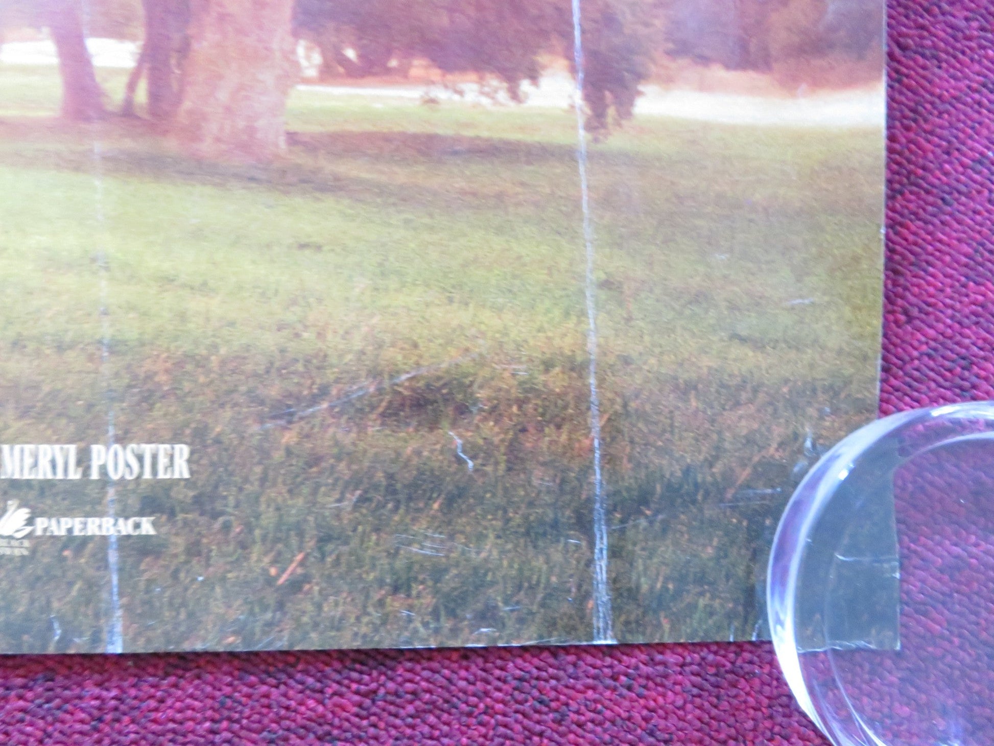 THE CIDER HOUSE RULES UK QUAD (30"x 40") ROLLED POSTER TOBEY MAGUIRE 1999 Rendezvous Cinema Movie posters