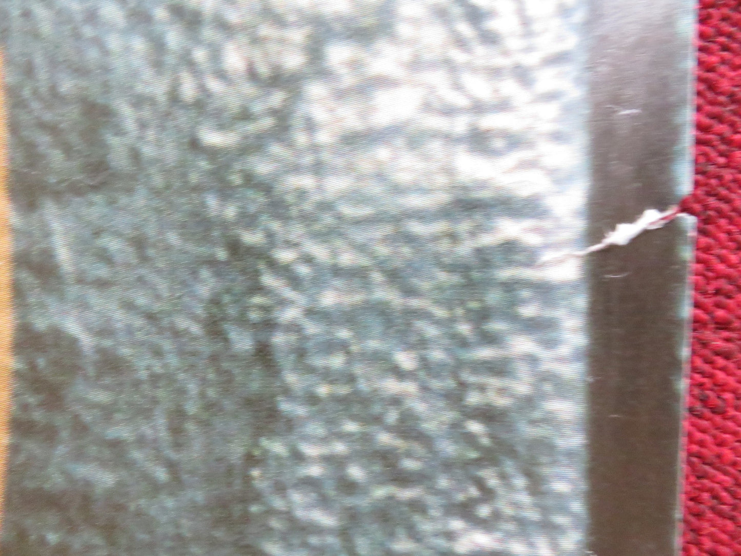 THE CIRCLE UK QUAD ROLLED POSTER NARGESS MAMI ZADEH MARYIAM PALVIN ALMANI 2000 Rendezvous Cinema Movie posters