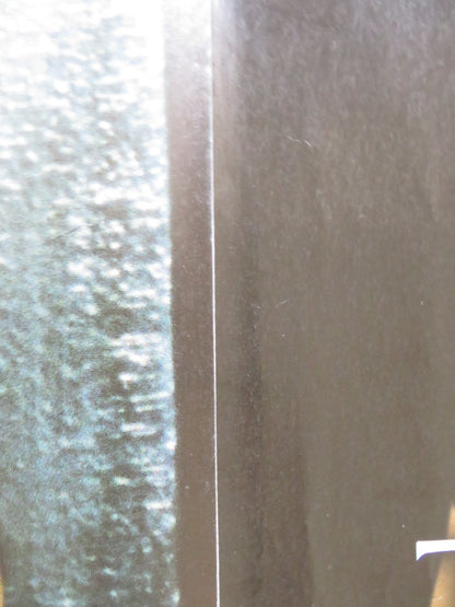 THE CIRCLE UK QUAD ROLLED POSTER NARGESS MAMI ZADEH MARYIAM PALVIN ALMANI 2000 Rendezvous Cinema Movie posters