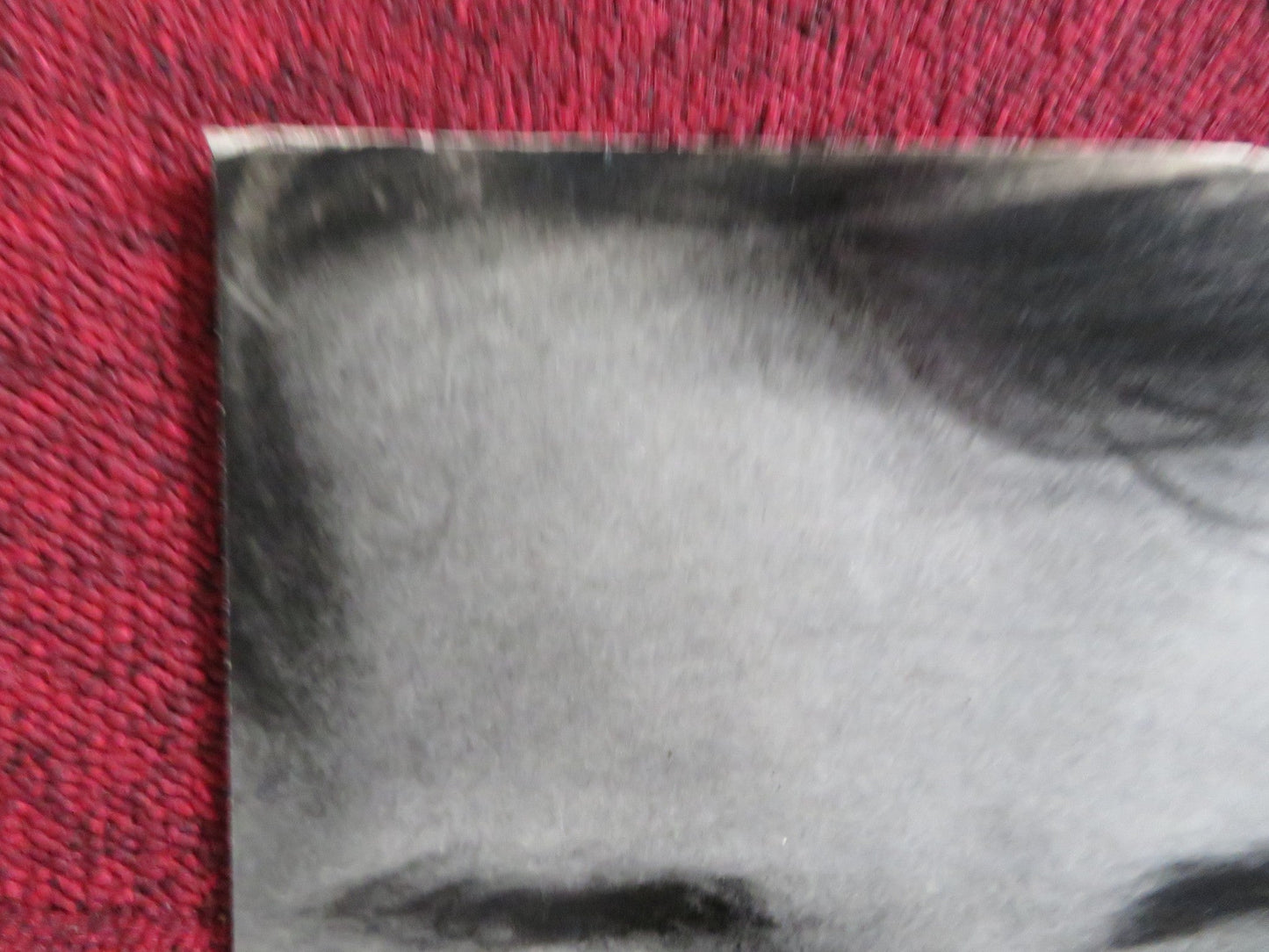 THE CIRCULAR TRIANGLE - A ITALIAN FOTOBUSTA POSTER LILLI PALMER P. BRASSEUR 1964 Rendezvous Cinema Movie posters