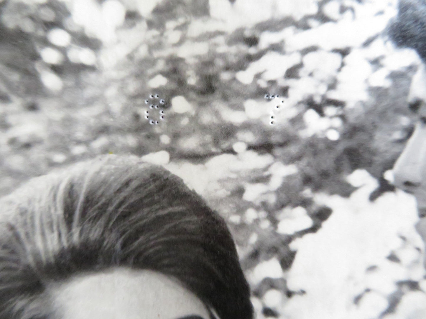 THE CIRCULAR TRIANGLE - E ITALIAN FOTOBUSTA POSTER LILLI PALMER P. BRASSEUR 1964 Rendezvous Cinema Movie posters