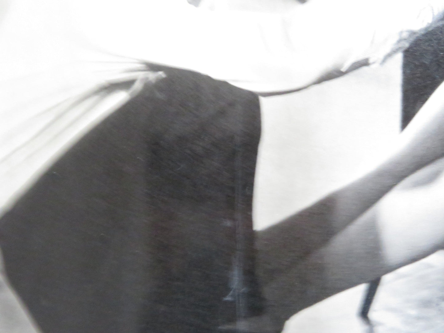 THE CIRCULAR TRIANGLE - G ITALIAN FOTOBUSTA POSTER LILLI PALMER P. BRASSEUR 1964 Rendezvous Cinema Movie posters