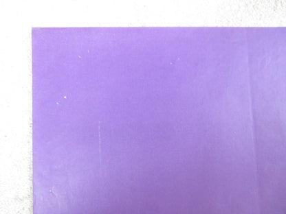 THE COLOR PURPLE ITALIAN 2 FOGLIO POSTER SPIELBERG DANNY GLOVER W. GOLDBERG 1985 Rendezvous Cinema Movie posters