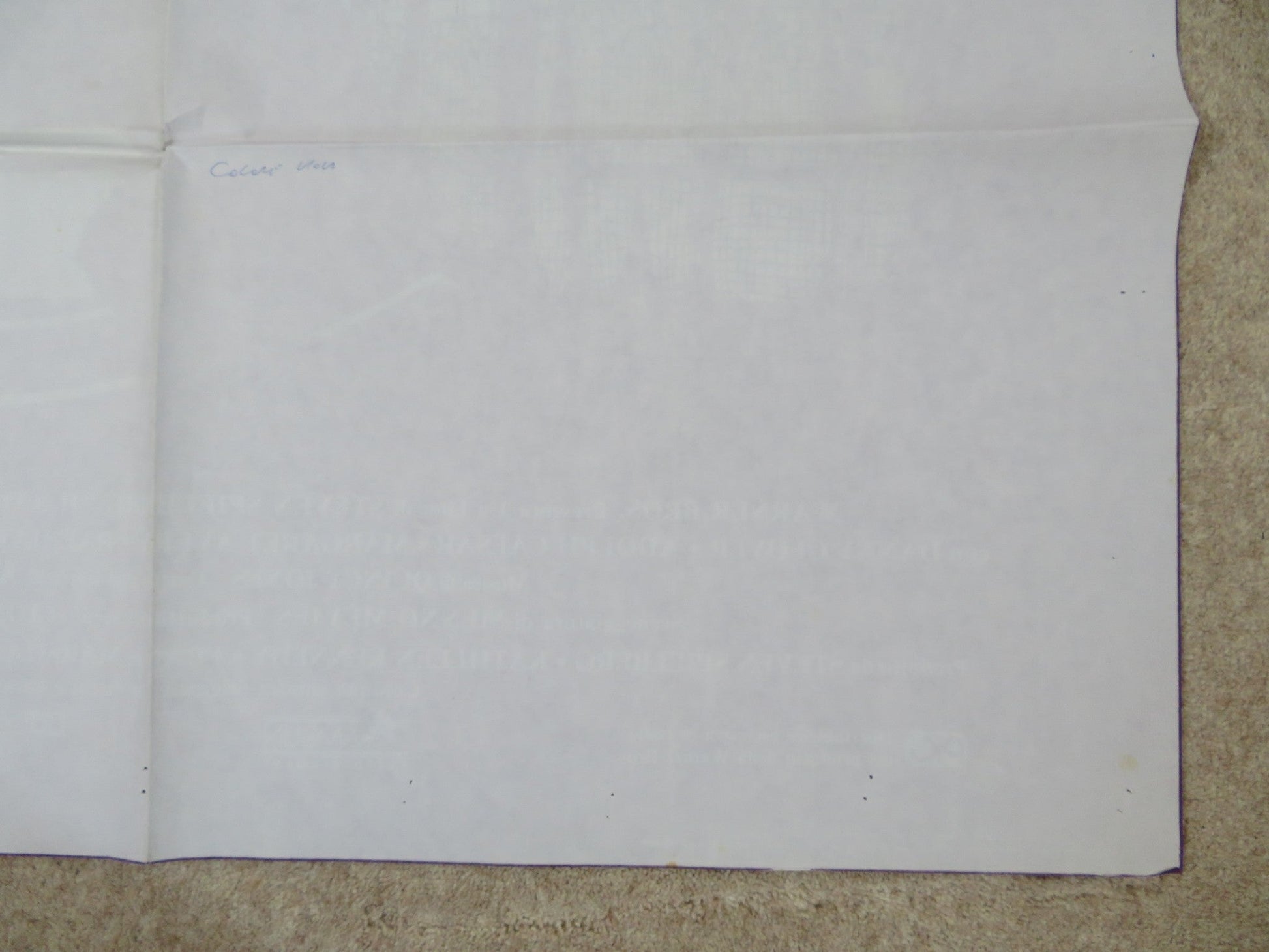 THE COLOR PURPLE ITALIAN 2 FOGLIO POSTER SPIELBERG DANNY GLOVER W. GOLDBERG 1985 Rendezvous Cinema Movie posters